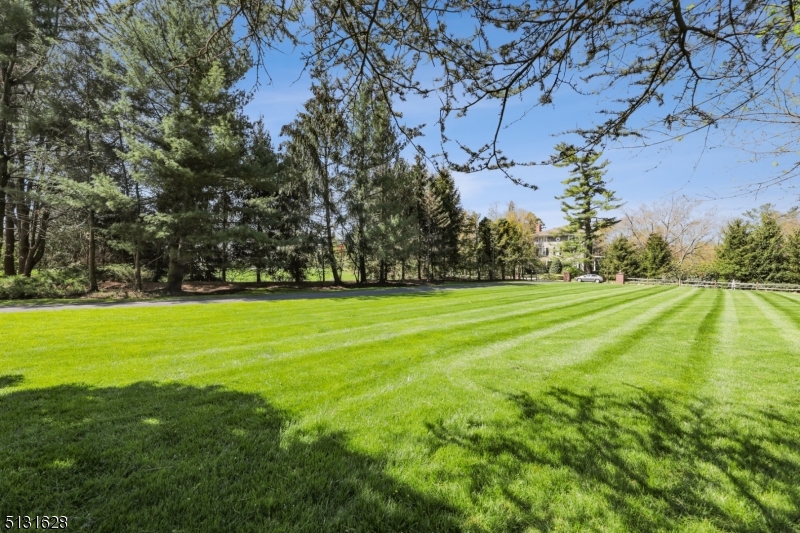 'Premier Old Short Hills - Residential