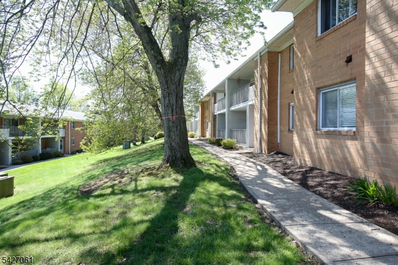 Cedar Brook - Residential