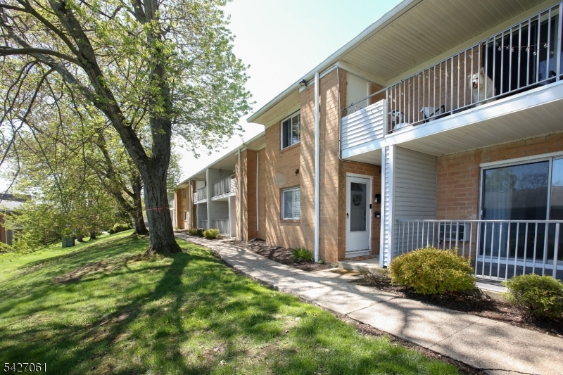 Cedar Brook - Residential