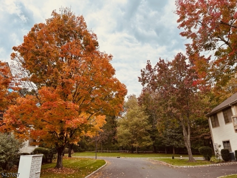 The Cedars - Residential Lease