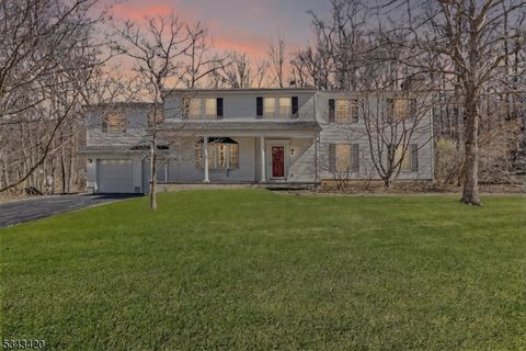 7 Cedar Ct, Washington Twp., NJ 07853 - #: 3950818