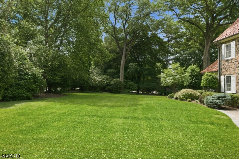 OLD SHORT HILLS - Residential