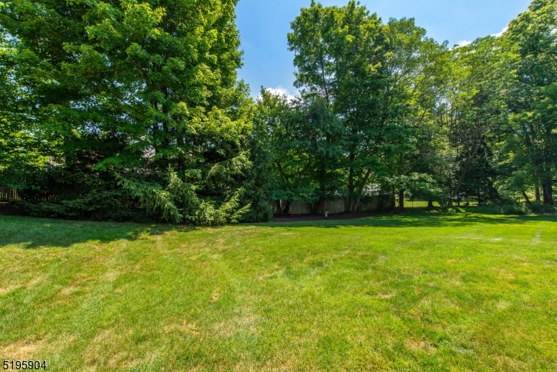 Borough - Residential