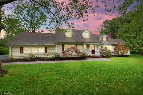 5 Saint Clair Rd Harding Twp. NJ 07960