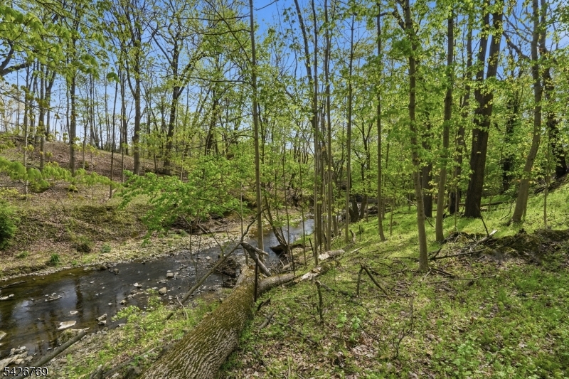 Annandale - Residential