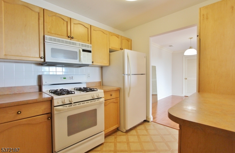 Green Brook Twp., New Jersey 08812, United States, 2 Bedrooms Bedrooms, ,2 BathroomsBathrooms,Residential,Active,173624