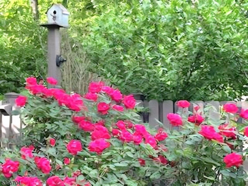 The Cedars - Residential