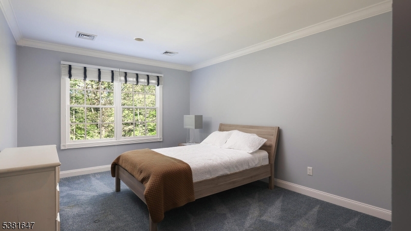 Bernardsville Mountain - Residential