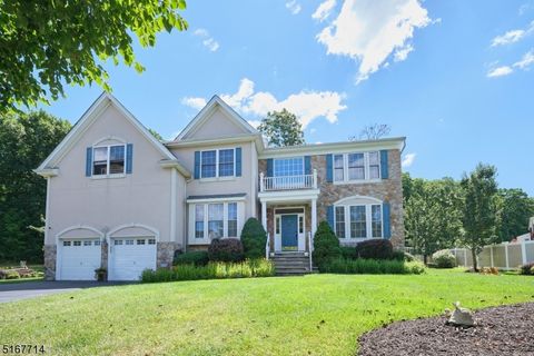 4 Red Maple Ln, Mount Olive Twp., NJ 07836 - #: 3902811