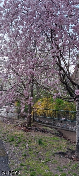 Tiffany Park - Residential