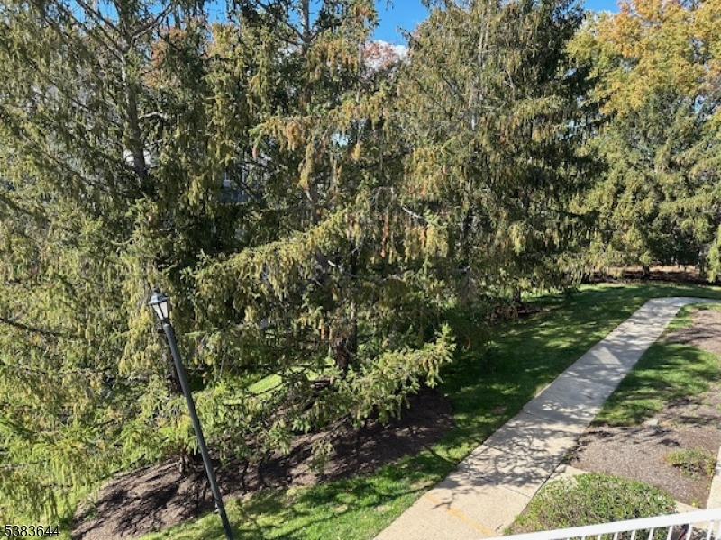 PINEVALE - Residential