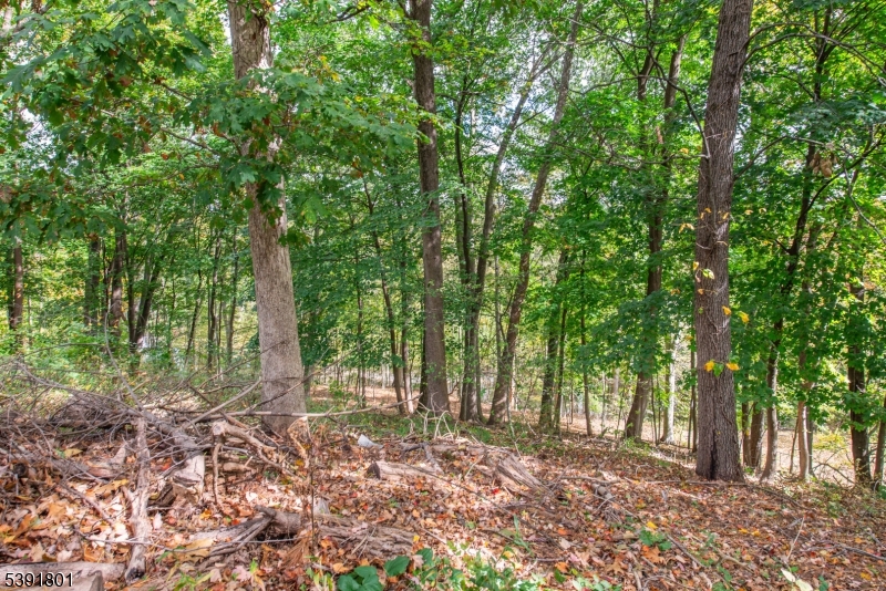 Upper Lake Hiawatha - Residential