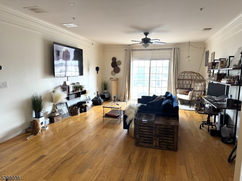 Chestnut Street - Residential