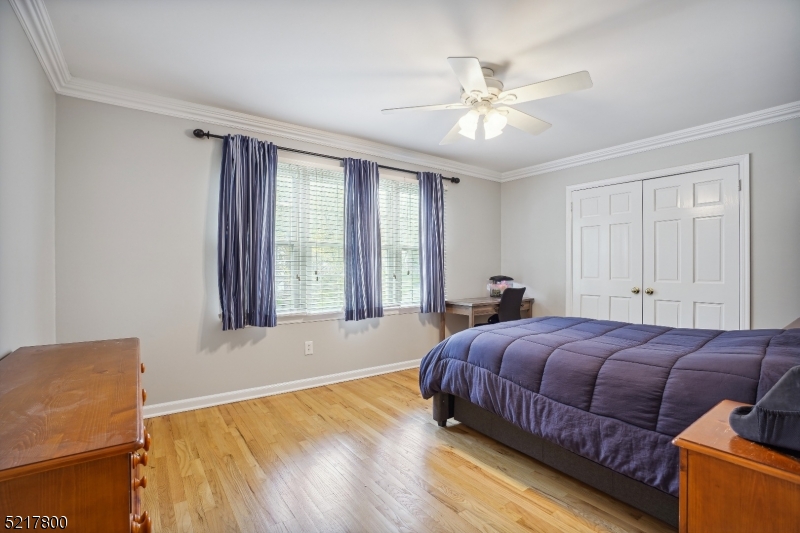 Hall Road Neighborhood - Residential