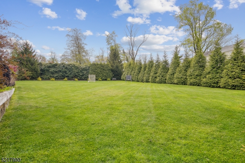 Hall Road Neighborhood - Residential