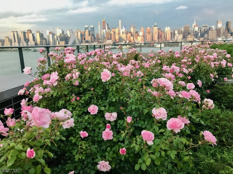 Port Imperial - Residential