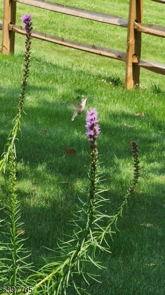 Grandview Estates - Residential