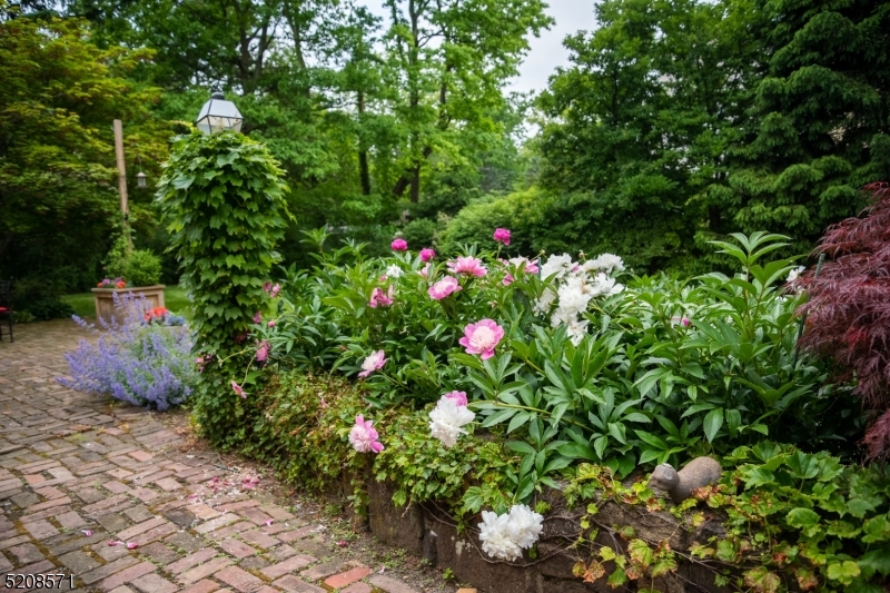 Old Short Hills - Residential