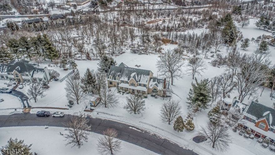 Nestled at the end of a private drive, 10 Red Robin Way is a masterclass in colonial elegance and modern versatility. Set on a sprawling 2.778-acre estate, this 4,500-square-foot residence offers a rare combination of sanctuary-like privacy and expansive living space, tailored for those who demand both luxury and functionality. The heart of the home is the gourmet kitchen, featuring a center island and a walk-in pantry, flowing effortlessly into a casual dining area with serene views. The adjacent great room is anchored by a dramatic floor-to-ceiling stone fireplace and soaring beamed ceilings bathed in natural light.  With 5 bedrooms and 5.5 baths, the home provides ample room for entertaining. The meticulously finished walk-out basement serves as an entertainment hub, perfect for a home gym or game room. Outside, enjoy absolute tranquility and skyline views from your private forest. Located in a top-rated school district near downtown Flemington, this estate offers the very best of Hunterdon County living.