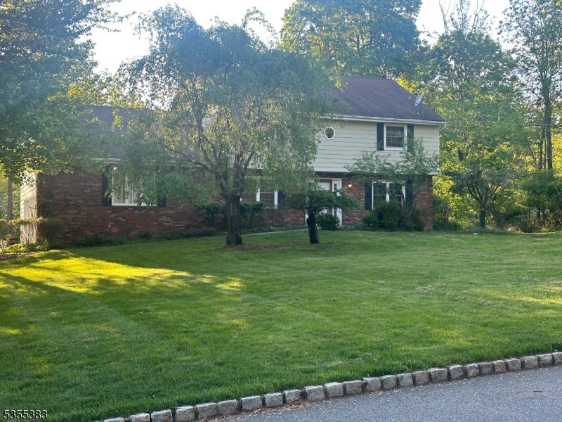 31 Charlotte Dr
