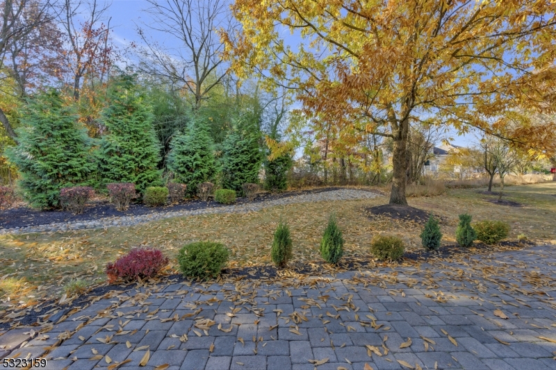 Walnut Brook - Residential