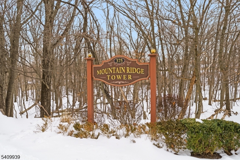 Mountain Ridge Tower - Residential