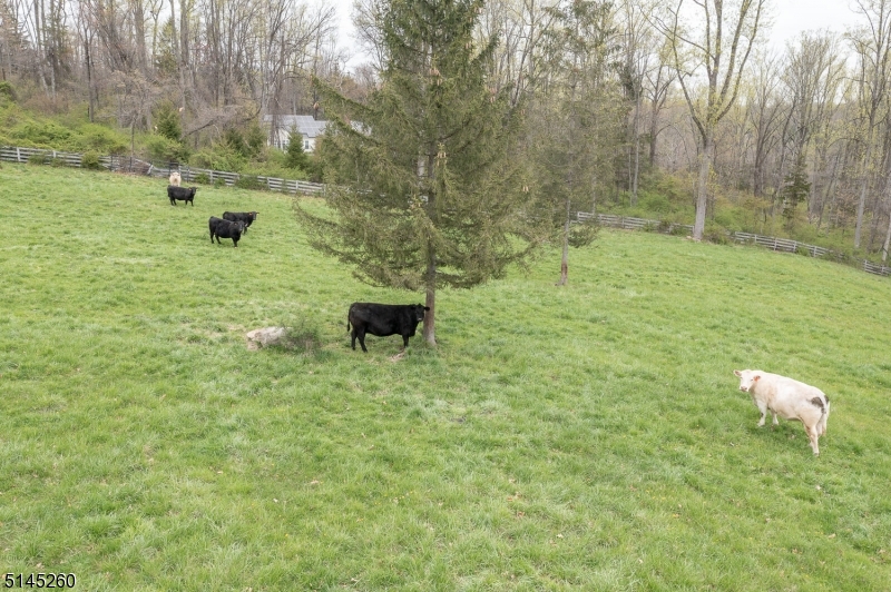 POTTERSVILLE - Residential