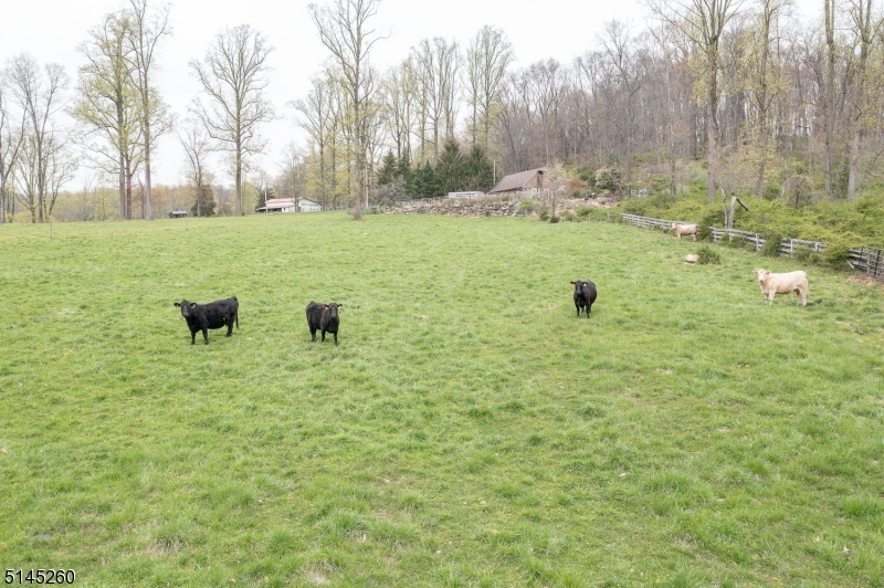 POTTERSVILLE - Residential