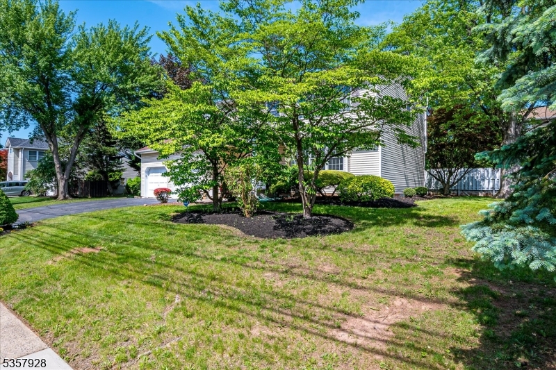 Shadyside Park - Residential