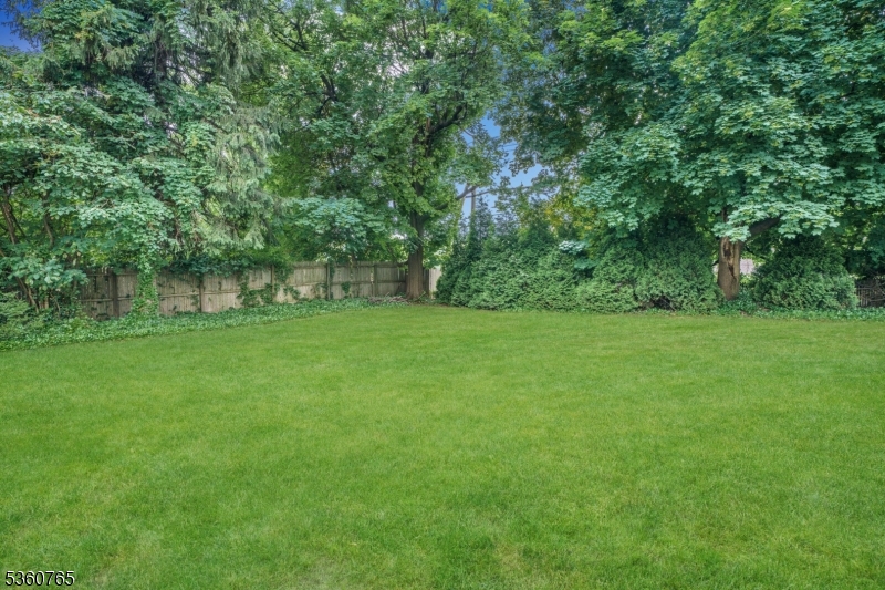 OLD SHORT HILLS - Residential