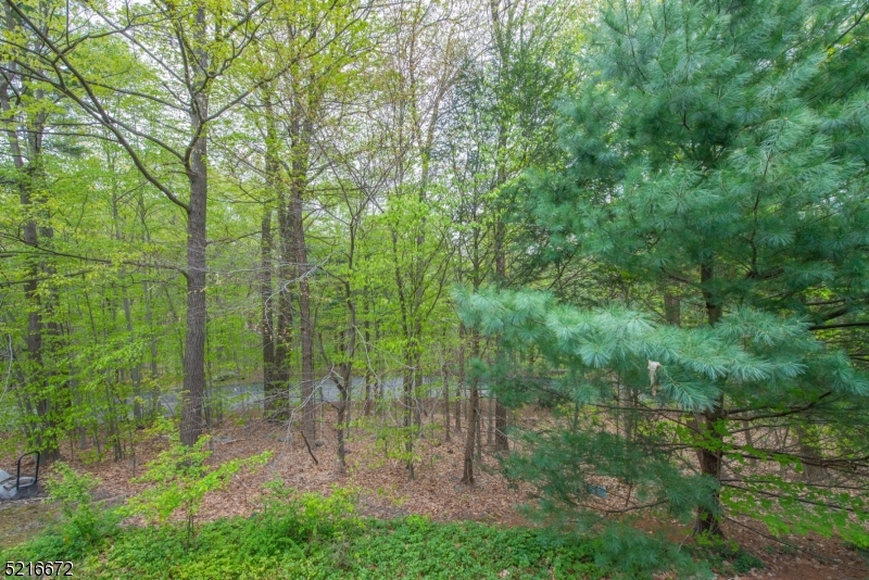 Bald Eagle Village - Residential