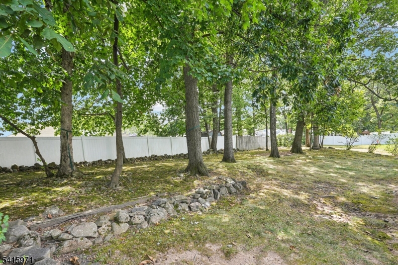 Mt. Pleasant - Residential