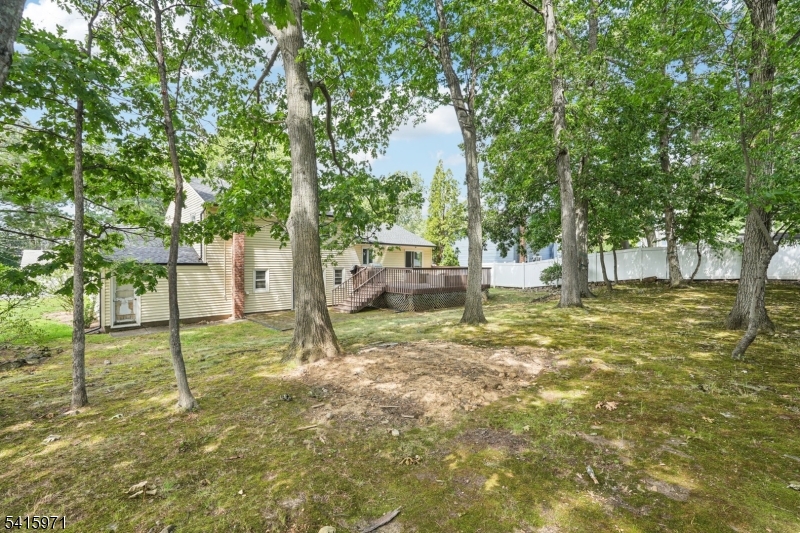 Mt. Pleasant - Residential