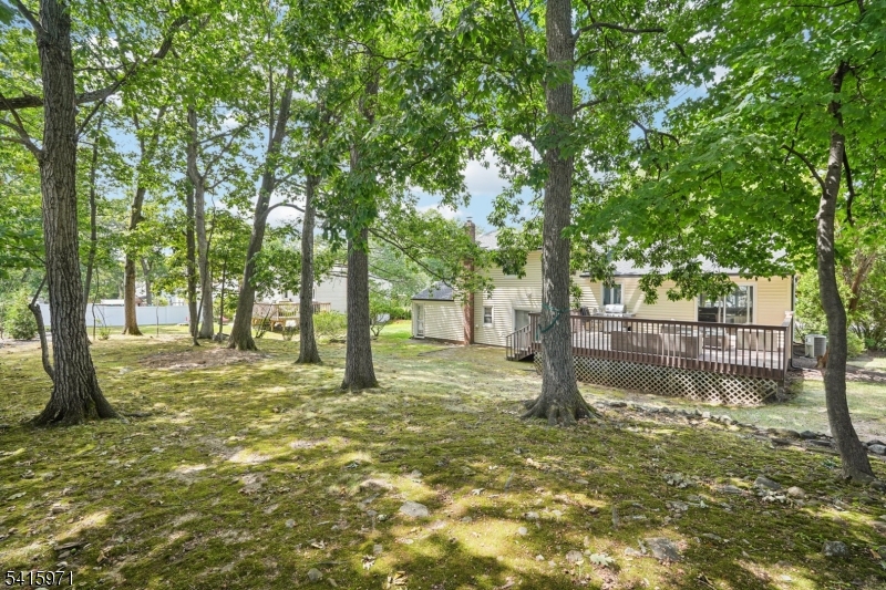 Mt. Pleasant - Residential