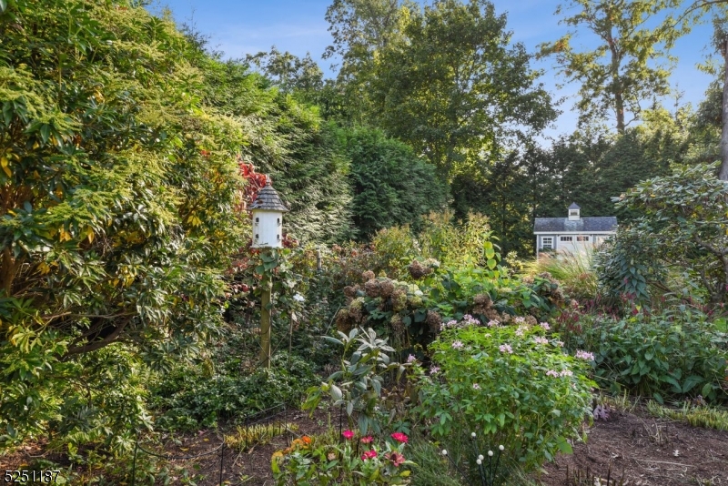 Rolling HIll - Residential