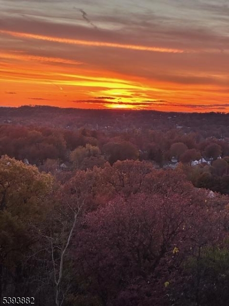 Claridge 2 - Residential