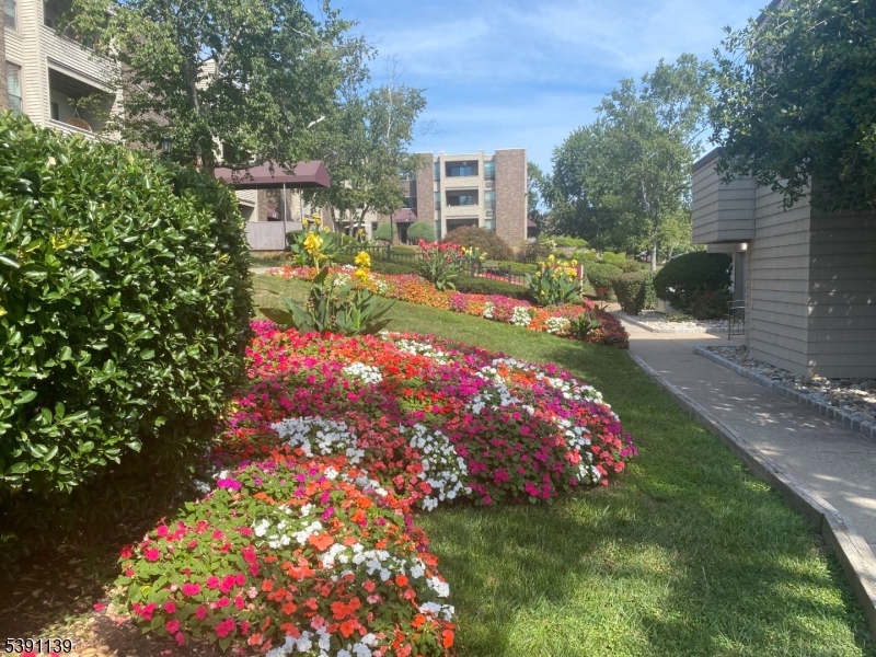Arbor Hills - Residential