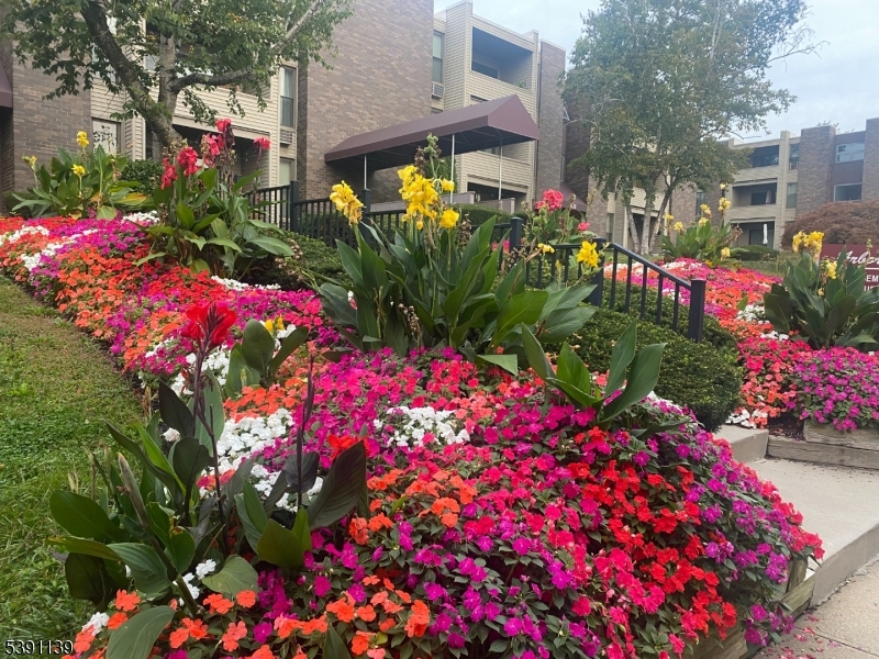 Arbor Hills - Residential