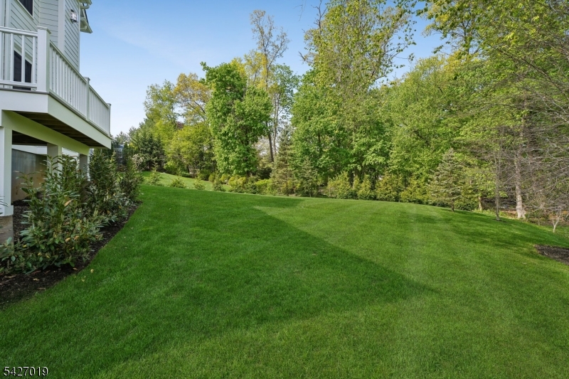 The Hill - Residential