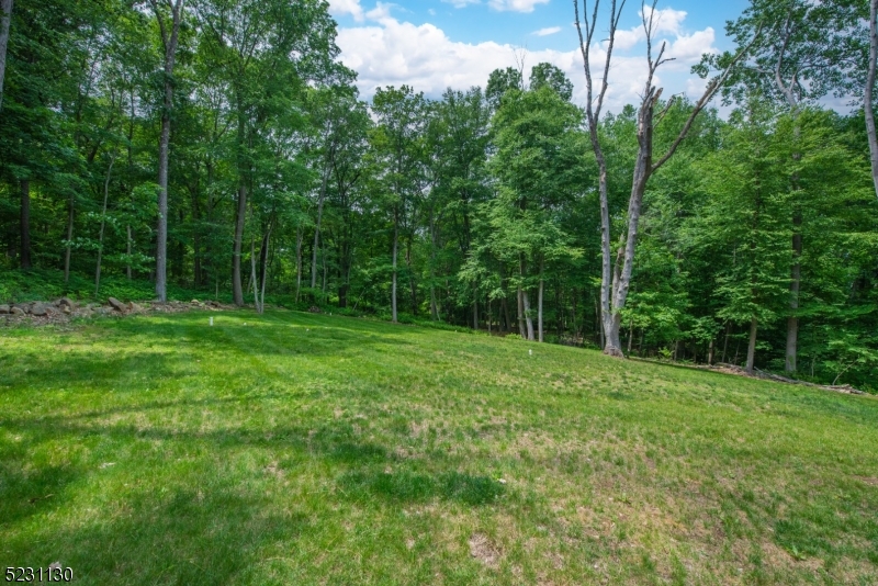 Schooleys Mtn - Residential