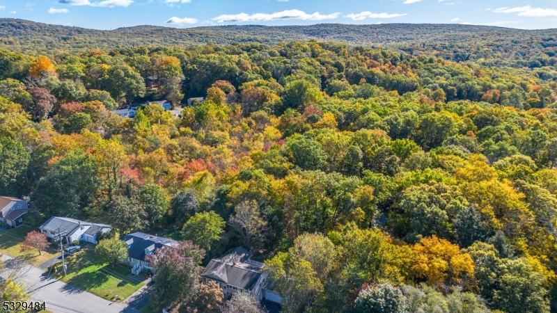 Cupsaw Lake - Residential