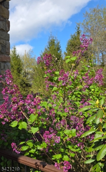 Rural Tewksbury Township - Residential