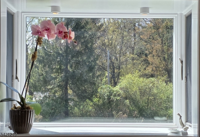 Rural Tewksbury Township - Residential