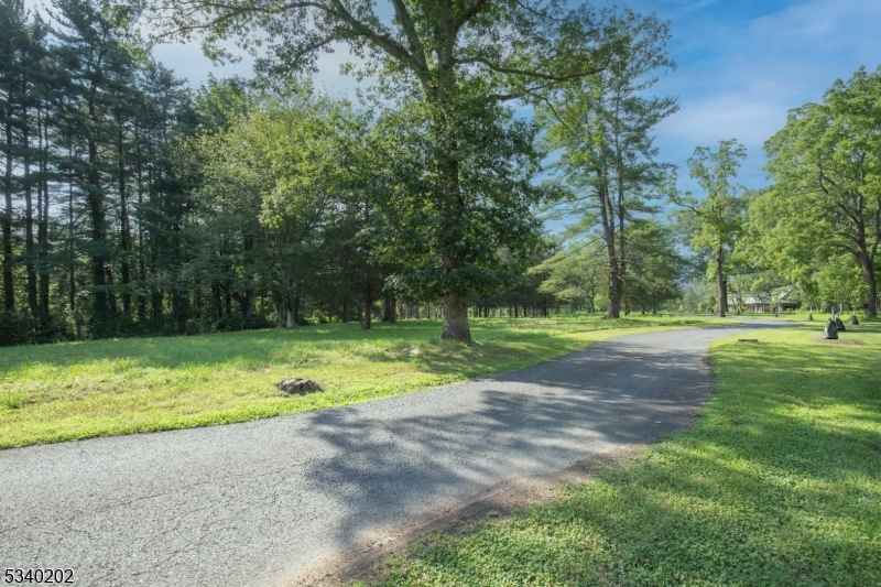 Singing Wood Farm - Land