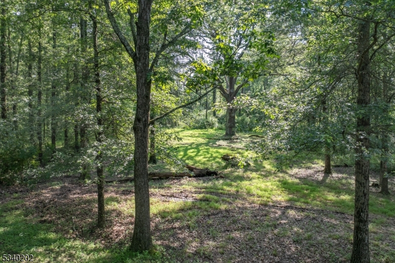 Singing Wood Farm - Land