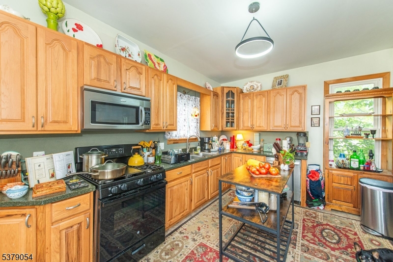 Historic Delaware Village - Residential