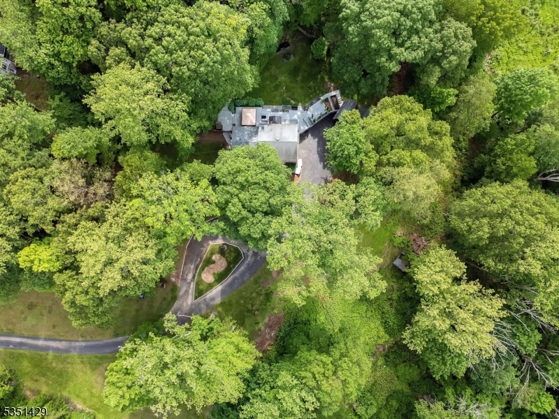 Mountain - Residential