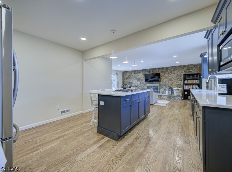 Lake Parsippany - Residential