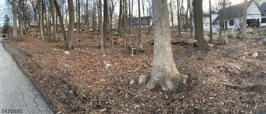 Exceptional opportunity to build a custom 2,400 sq ft residence on a 15,000 sq ft level parcel in sought-after Hopatcong, offering seasonal views of Lake Hopatcong. This premium homesite is approved for development and features access to public water and sewer, providing a seamless path to construction. Ideally located near upscale dining, shopping, and major commuting routes, the property offers a rare blend of privacy and convenience. An outstanding offering for those seeking to create a refined primary residence or weekend retreat.