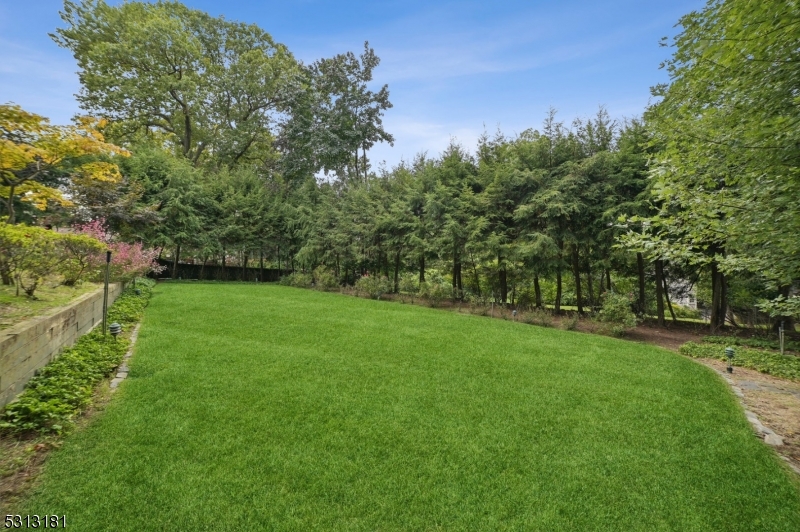 Montrose - Residential